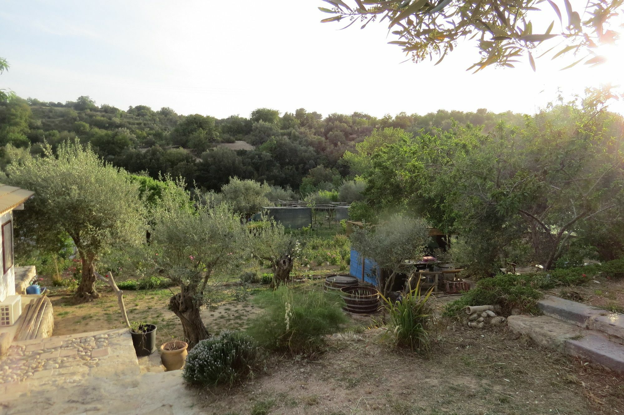 Fiori Di 3*