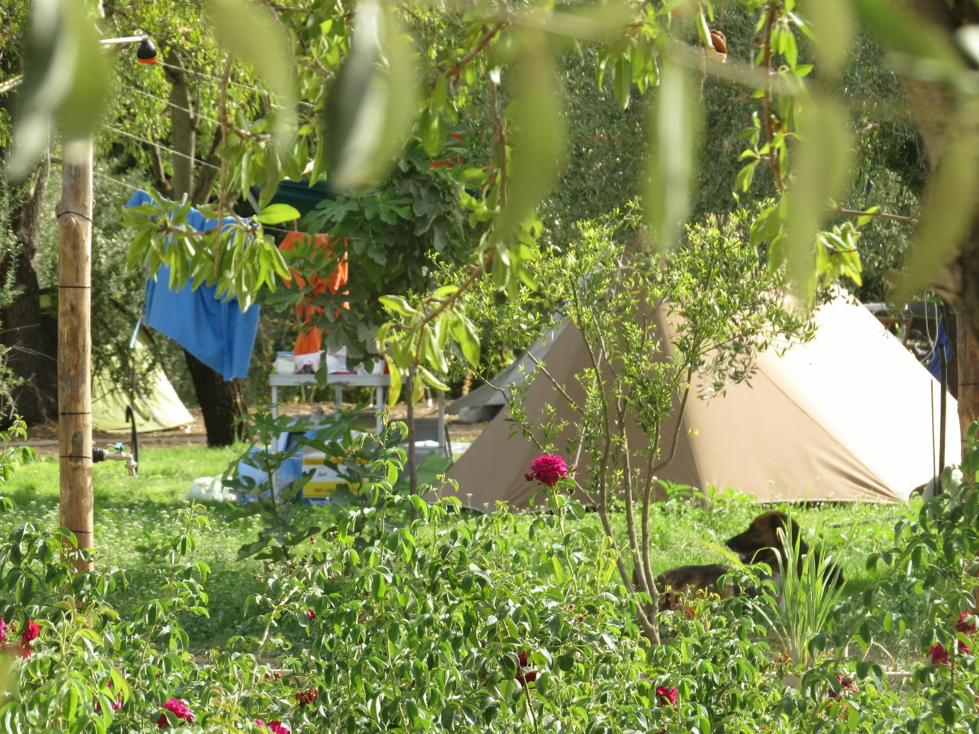Campingplatz Fiori Di 3*
