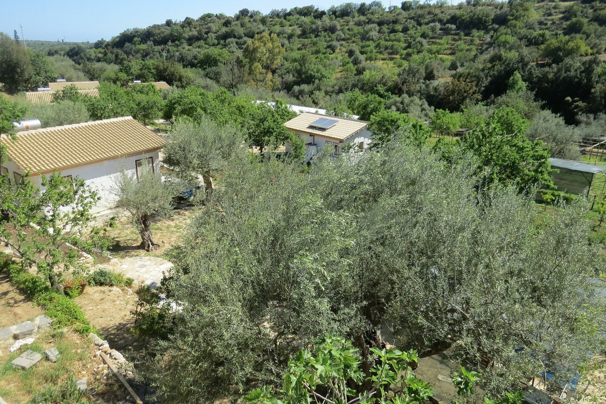Fiori Di Campingplatz Noto